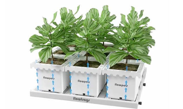 Innovagrow systems – la solución para cultivos intensivos